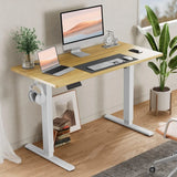 Height Adjustable Electric Standing Desk, 48 x 24 Inches Sit Stand up Desk, Memory Computer Home Office Desk